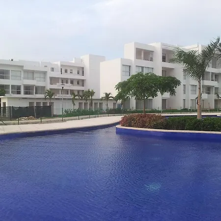 Amazing Apartamento